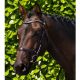 Ogłowie Premier Equine "San Paolo Anatomical" Brown