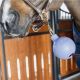 Osłona na uwiąz Kentucky ''Ball Protection''