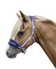 Kantar HKM "Funny Horses"