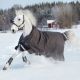 Derka padokowa Horseware "Amigo Bravo 12 Wug Med 250g" Excalibur