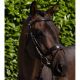 Ogłowie Premier Equine ''Artana'' Brown