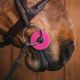 Gumki do wędzidła Fager "Bit Guards" Pink