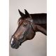 Ogłowie hanowerskie Dy'on "Drop Noseband NE" Black