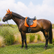 Czaprak ujeżdżeniowy Kentucky ''Diamond Rope'' Orange