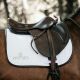 Czaprak skokowy Kentucky ''Leather'' White