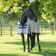 Derka przeciw owadom Imperial Riding "Carlys" Ballerina AOP