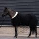 Derka polarowa Imperial Riding "Bandit" jesień/zima 2026 Black 24h