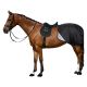 Półderka treningowa Imperial Riding "Multiride Winter"