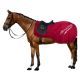 Półderka treningowa Imperial Riding "Super-dry" 0 g