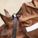 Derka padokowa Imperial Riding "Super-proof" 300 g
