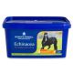 Suplement wspierający układ odpornościowy  Dodson & Horrell Echinacea 1 kg