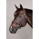 Ogłowie Dy'on "Plaited Flash Noseband Pull Back NE" Brown
