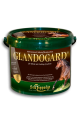 Suplement łagodzący objawy syndromu Cushinga St. Hippolyt "Glandogard" 3,75 kg
