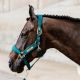 Kantar Kentucky "Velvet" Emerald 24h