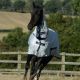 Derka siatkowa Bucas "Freedom Fly Sheet" 24h