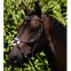Ogłowie Premier Equine "Glorioso" Brown