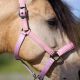 Kantar Imperial Riding "Sparkle”