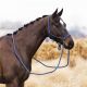Halter do jazdy Imperial Riding "Free Ride"