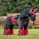 Owijki dla konika LeMieux "Toy Pony" Chilli