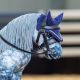 Nauszniki dla konika LeMieux "Toy Pony" Ink Blue