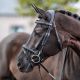 Ogłowie LeMieux "Work Bridle" Black