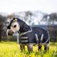 Derka padokowa LeMieux dla konika ''Toy Pony'' Navy 