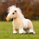 Konik LeMieux ''Toy Pony'' Lemon