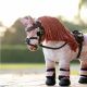 Nauszniki dla konika LeMieux "Toy Pony" Blossom 24h