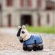 Konik LeMieux ''Tiny Pony'' Dream 24h