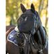 Maska na muchy LeMieux "Ride On" Black