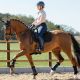 Czaprak ujeżdżeniowy LeMieux ''3D Mesh Self-Cool Dressage'' Black