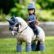 Lalka LeMieux "Toy Rider" jesień/zima 2026 Olivia