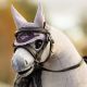 Nauszniki dla konika LeMieux "Toy Pony" Lilac