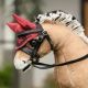 Nauszniki dla konika LeMieux "Toy Pony" Cranberry 24h