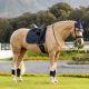 Czaprak ujeżdżeniowy LeMieux ''Air-Tek Mesh Dressage'' Shadow