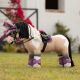 Czaprak LeMieux dla konika "Toy Pony" Mallow