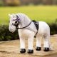 Konik LeMieux "Toy Pony" Coco 24h