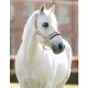 Kantar LeMieux "Heritage Headcollar" jesień/zima 2026 Wild Rose