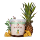 Kopytka Candy Horse Ananas i Szałwia 400 g 24h