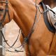 Napierśnik z wytokiem Premier Equine "Norbello Hunter Breastplate" Black