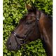Ogłowie Premier Equine "Palazzo" Brown 