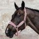 Kantar Kentucky "Velvet" Old Rose 24h