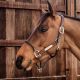 Kantar Kentucky "Leather Rope" 