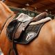 Czaprak skokowy Veredus "Saddlecloth Microfiber Jumping S1" Black