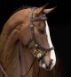 Ogłowie anatomiczne Horseware "Rambo® Micklem® Multibridle"