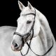Ogłowie Horseware "Micklem Competition Bridle LC" Black