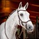 Ogłowie anatomiczne Horseware "Micklem 2 Competition Bridle LC"