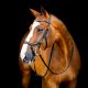 Ogłowie anatomiczne Horseware "Micklem 2 Diamante Competition Bridle"