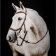 Ogłowie anatomiczne Horseware "Micklem 2 deLuxe Competition Bridle with rubber Reins'' 24h