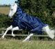 Kaptur do derki Bucas "Smartex Combi Neck 50" Blue